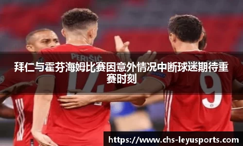 拜仁与霍芬海姆比赛因意外情况中断球迷期待重赛时刻